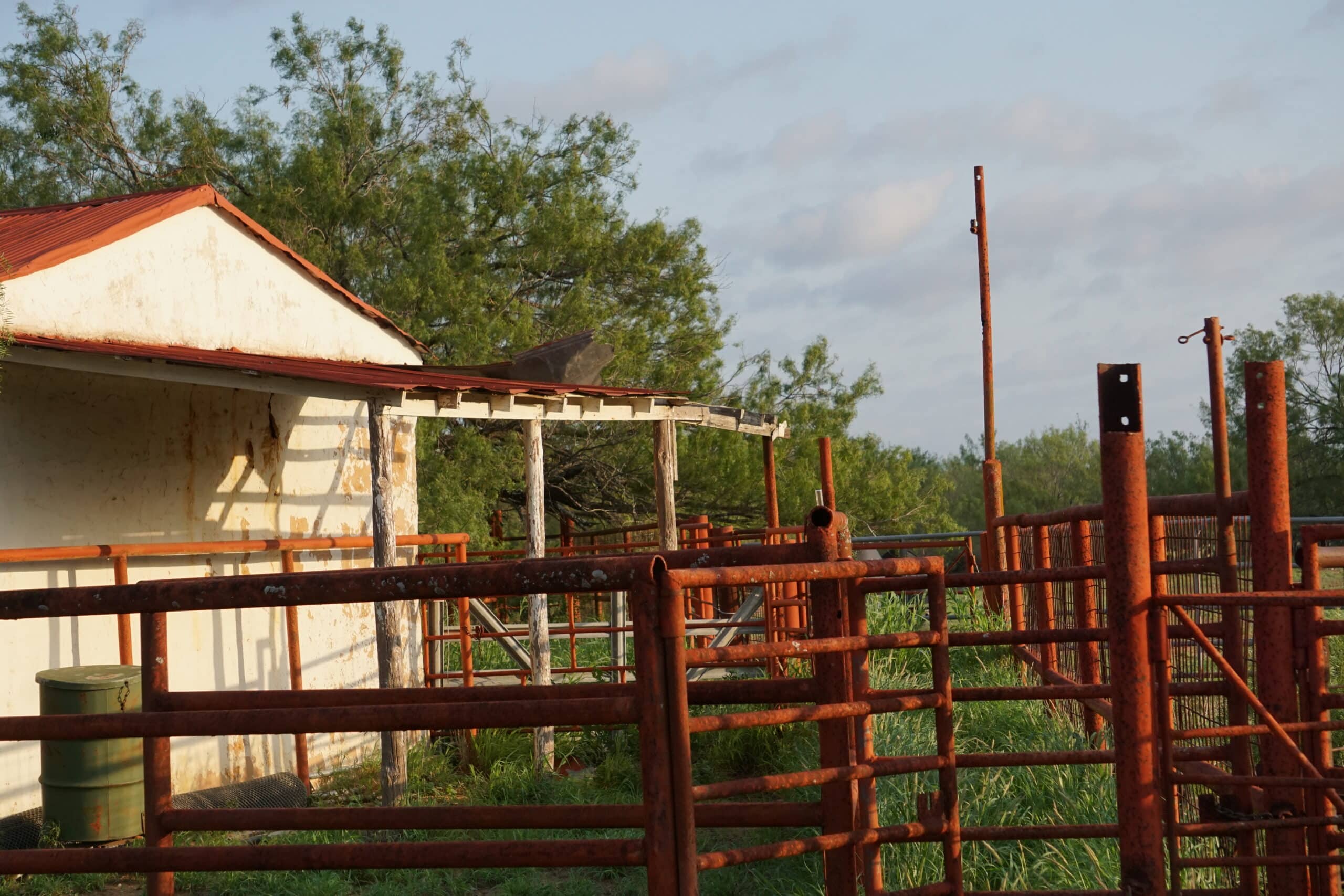 Texas Registered Agent