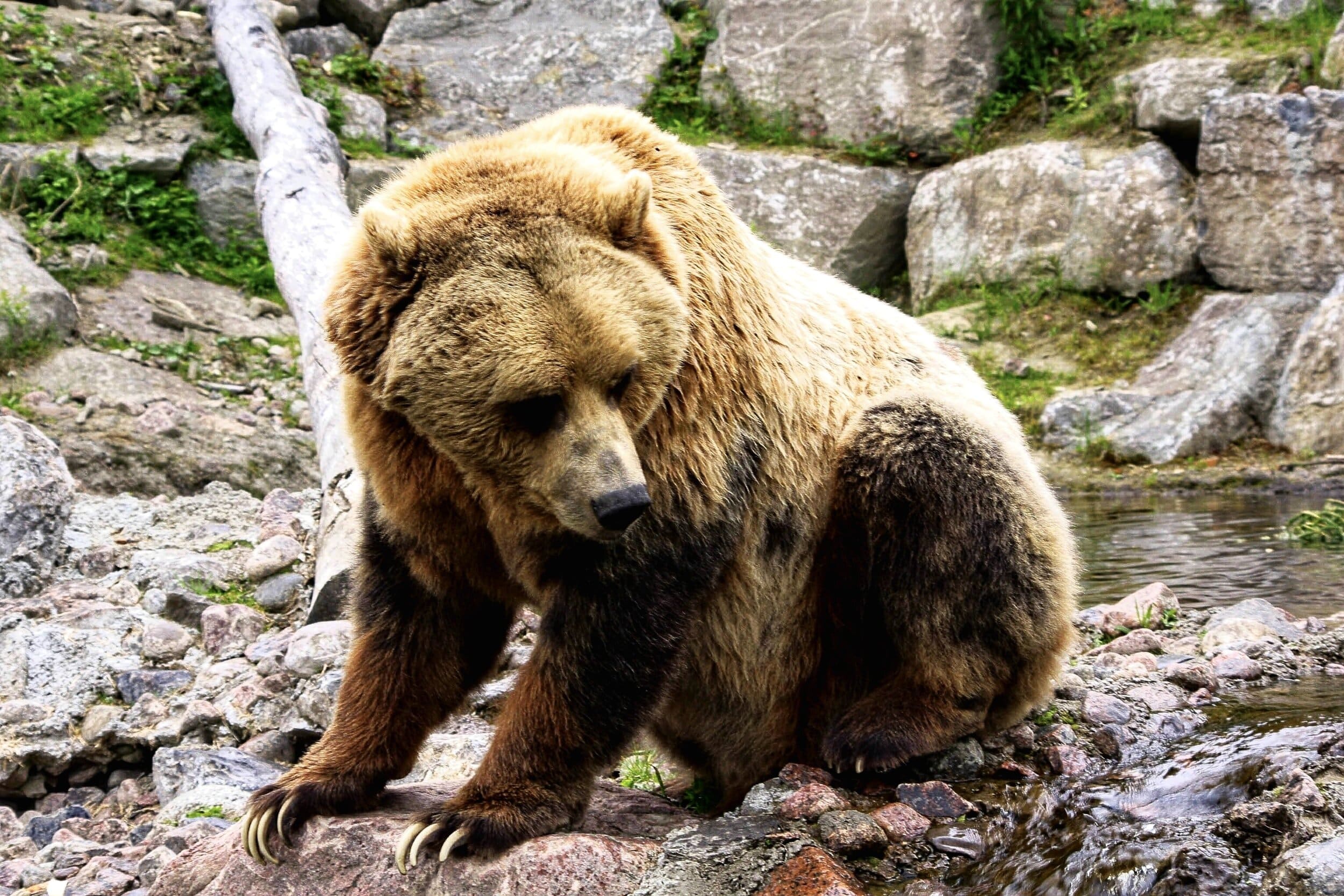 In order to “bearproof” and preserve the chain of title, use of Warranty Deeds is preferred to Quitclaim Deeds; Contact San Antonio Real Estate Attorney Nathaniel Gilbert for help in transferring your property through deeds.